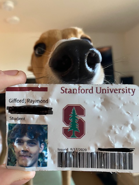 A Stanford ID card and its destroyer.