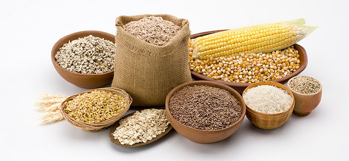 MultiGrains.jpg